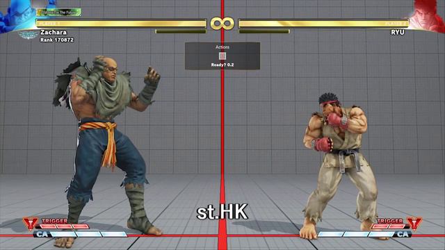 Street Fighter 5 - Sagat Tips And Tech