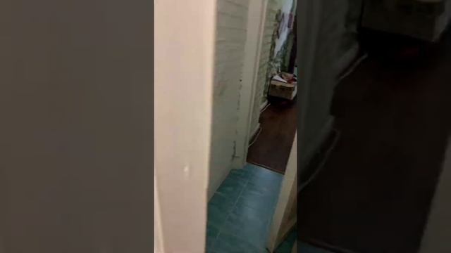 3кКв., 12-я Красноармейская, дом 6Б смотреть онлайн