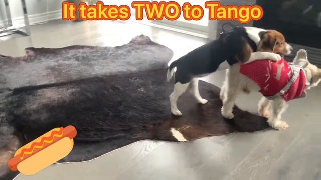 #It takes TWO to Tango смотреть онлайн