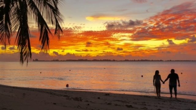 Morning Relaxing Music And Background Music • Calm Music, Meditation Music