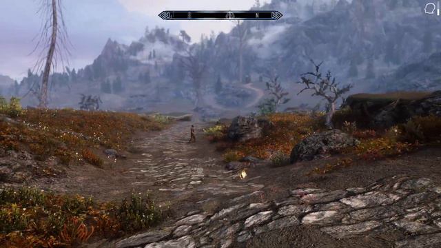 Day 306 - Killing Nazeem Every Day Until Elder Scrolls 6 is Released смотреть онлайн