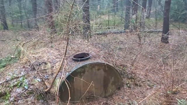 Скотомогильник в лесу.Захоронение сдохшей скотины ждущий утилизации. смотреть онлайн