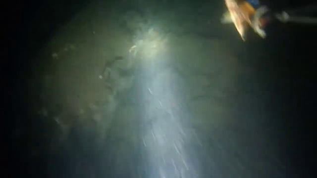 Day7|Night Spearfishing|Maliksi ka pero sapol ka pa rin смотреть онлайн