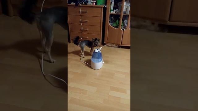 Осторожно влажный воздух смотреть онлайн