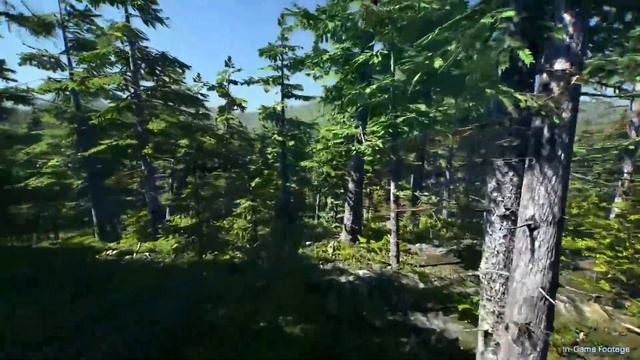 Earth 2: Founder Shane Isaac Responds NO LAWSUIT And A Discussion About Tanner's Lies смотреть онлайн