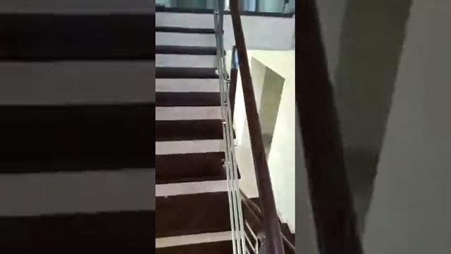 Ограждение на нержавеющих стойках с дубовыми вставками (перила для лестницы) в Воронеже. смотреть онлайн
