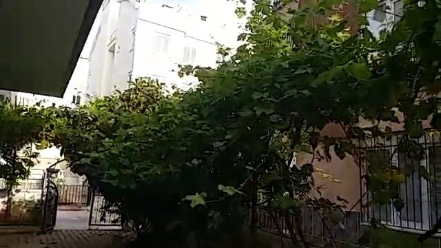 ПРОГУЛКА ПО ДВОРУ 21.05.2005!КАК ИЗБАВИТСЯ ОТ НАЗОЙЛИВЫХ "ДРУЗЕЙ" ДЕДОВСКИЙ МЕТОД ПРОВЕРЕННЫЙ смотреть онлайн