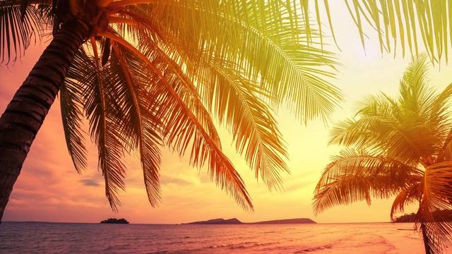 Музыка для медитации смотреть онлайн