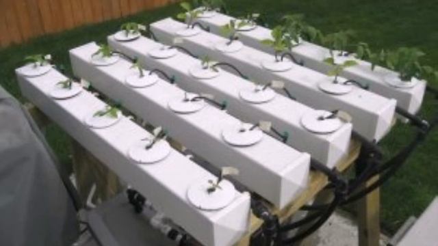 светодиодные лампы для выращивания растений своими руками смотреть онлайн