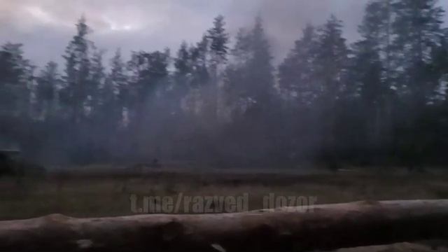 работа терминатора