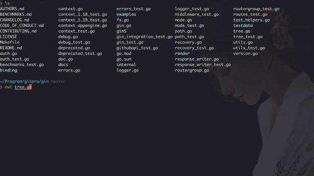 git-delta, 终端代码diff也很酷！ смотреть онлайн