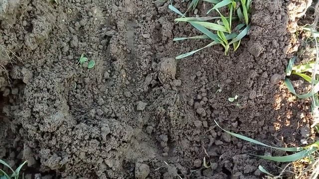 Что можно найти по карте #РККА смотреть онлайн