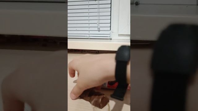 пробую шоколадки компании Kinder
