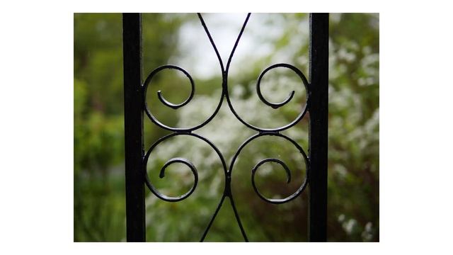 The BOKEH MONSTER | Panasonic Leica DG Summilux 25mm f/1.4 II | Sample Images | Micro Four Thirds смотреть онлайн