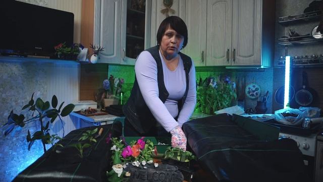 МАСТЕР-КЛАСС | Ваша клумба на агротекстиле — плюсы и минусы смотреть онлайн