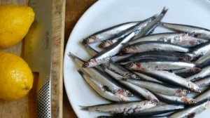 Как солить хамсу