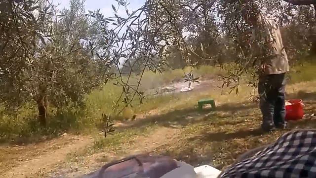 ГРЕЦИЯ С НАМИ НА МАЛЕНЬКИЙ ПЕКНИК КОШКА СОБАКА смотреть онлайн