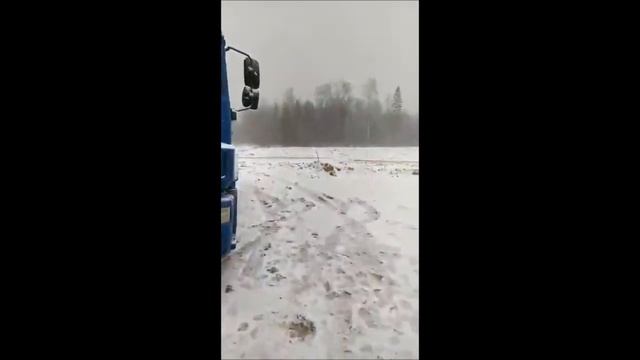 Активисты в Поварово остановили бетономешалку. Помойка не пройдет! смотреть онлайн