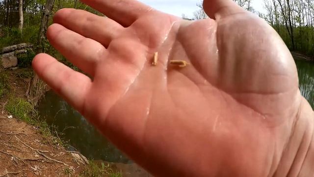 How to Use GULP Euro Larvae - Float Fishing With Tiny Artificials смотреть онлайн