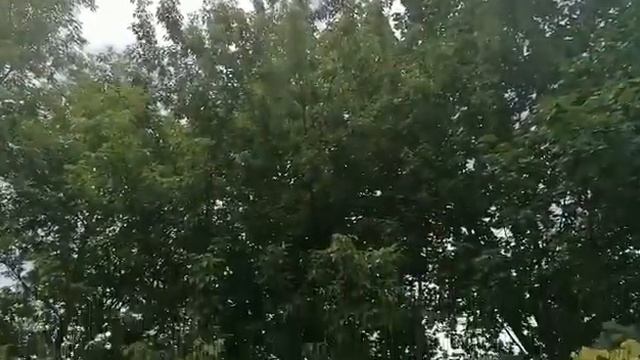 Спектакль Джо Рукописи не горят cover смотреть онлайн