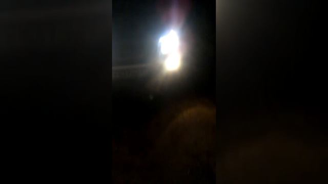 Галогеновые лампы H8 MTF Aurum смотреть онлайн