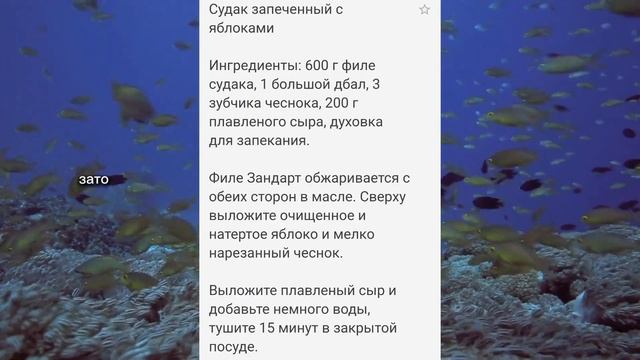 Вкусная еда для всех случаев жизни 