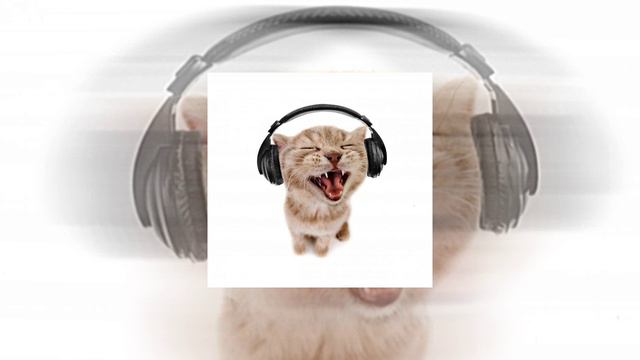 Ayesha Erotica - Hey Brendon / Slowed Down