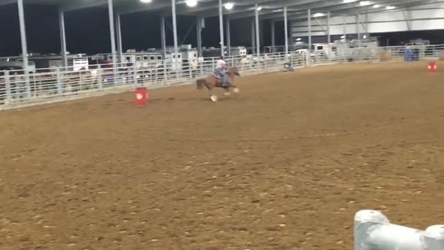 Winter Mania barrel racing Casey Wayne and Skip смотреть онлайн