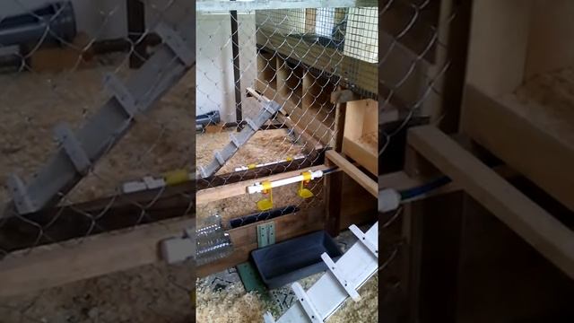 Ремонтная Интрига