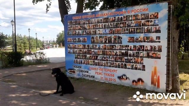 Рейс 7к9268 Дорога Жизни Жил Был Пес Моя Жизнь Кино Muzeum YouTube Leo Ridge