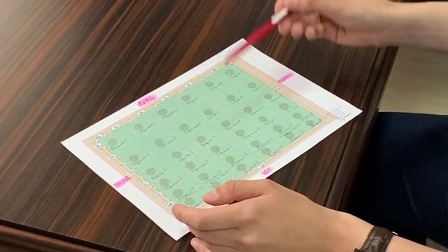 Правильное расположение плодовых культур на участке смотреть онлайн