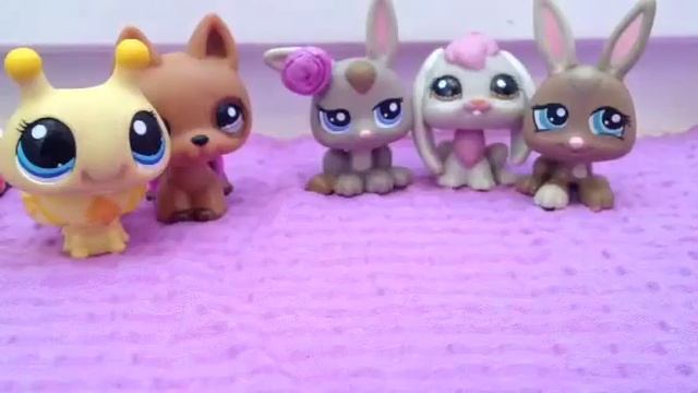 Конкурс в честь 20 подписчиков!!! смотреть онлайн