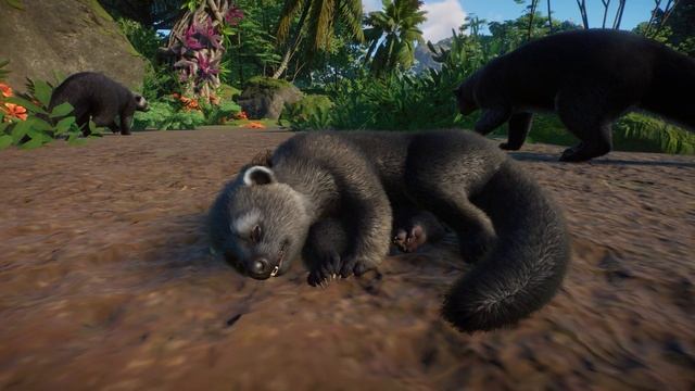 ▶ Updated Binturong | Planet Zoo Southeast Asia Animal Pack | смотреть онлайн