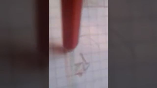 Мой рисунок про Майнкрафт 2D смотреть онлайн