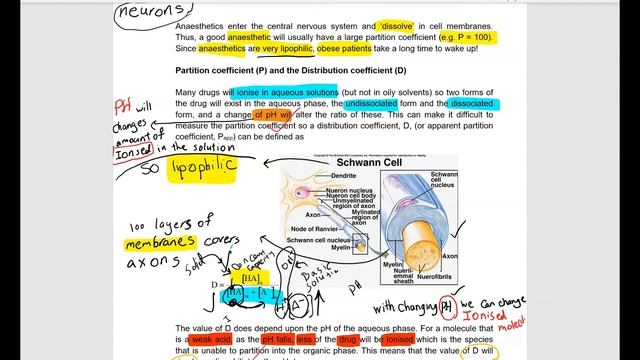 partition coefficient (P)(log p) and distributions coefficient (D)(logD) смотреть онлайн