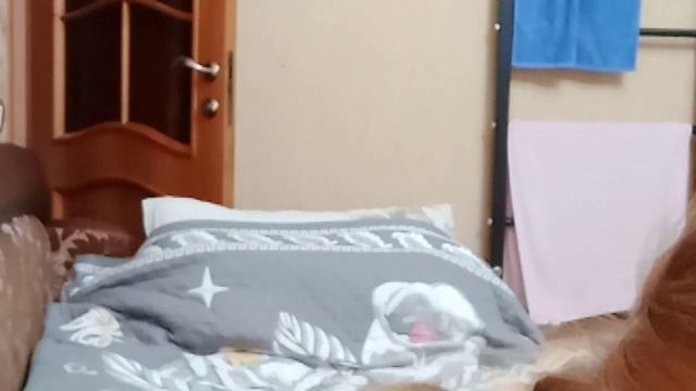 Как лучше готовится к видео 2 часть смотреть онлайн