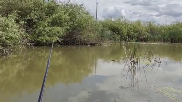 Рыбалка в новых местах/разведка рыбных мест смотреть онлайн