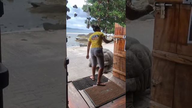 Сейшелы. Seychelles. 塞舌尔。 смотреть онлайн