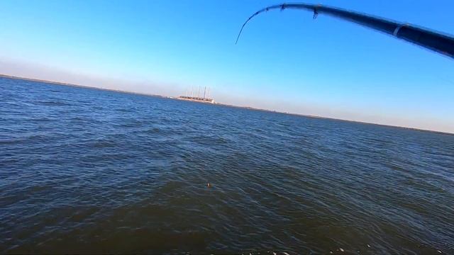 Ловля Бычка Зимой на Поплавок!! Клёв как на Черных камнях!!! смотреть онлайн