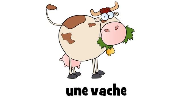 урок французского языка # Une Vache