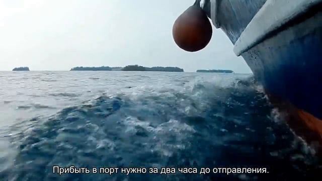 Водное безумие