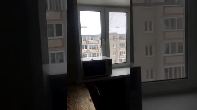 Костерево,ул 40 Лет Октября,дом 16 смотреть онлайн