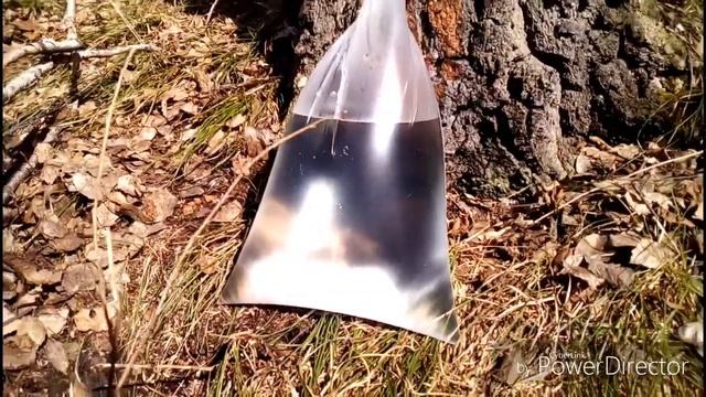 Кулинарное Вдохновение