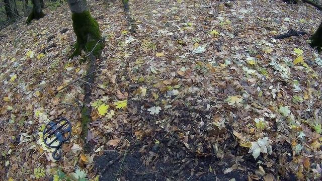 ТЕСТ НА ЗОЛОТО  Минелаб СТХ 3030