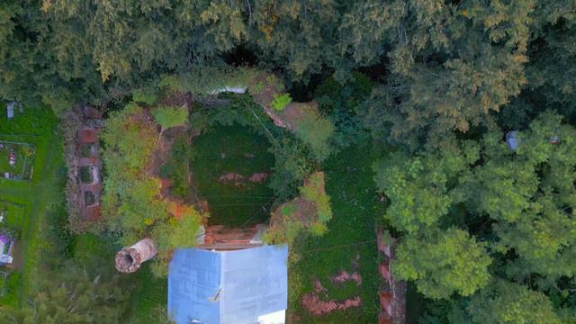 110 лет без ухода и хоть бы что