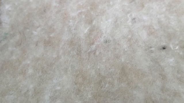Верблюжья шерсть - современный наполнитель для одеял и подушек смотреть онлайн