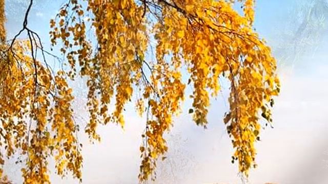 Осенний вальс (муз. и сл. Риты Ельцовой).mp4 смотреть онлайн