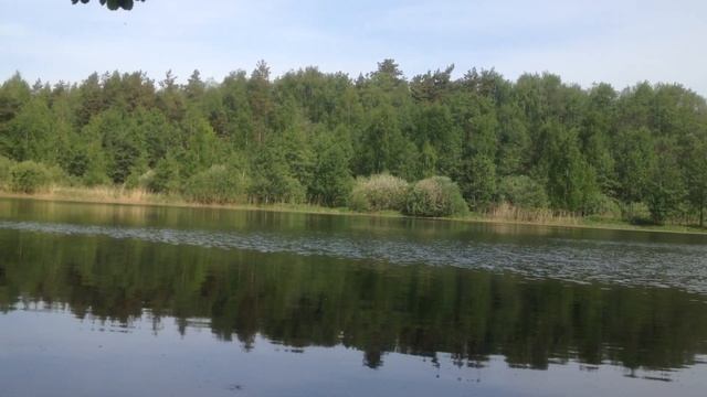 Весна на озере Плотина в Раменском смотреть онлайн