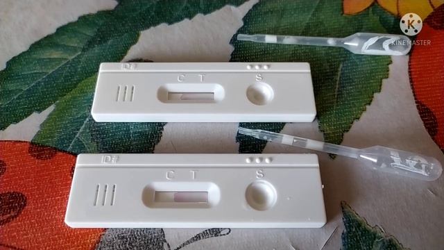 Тест на стельность коров #тестнастельность смотреть онлайн