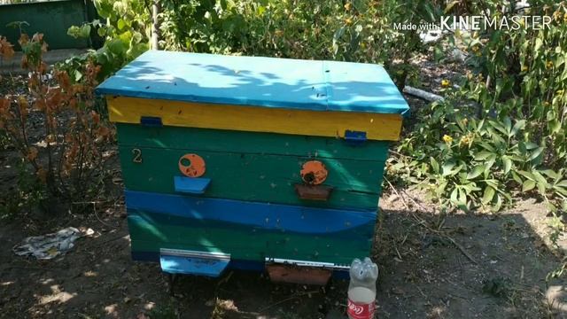 Подарок пасечнику от пчел на День рождения смотреть онлайн